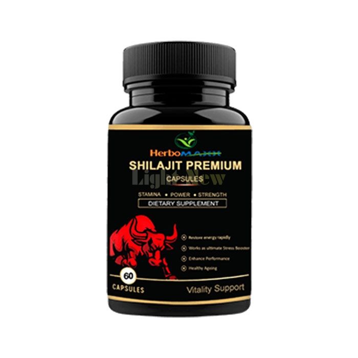 Shilajit Premium Capsules - शक्ति के लिए कैप्सूल